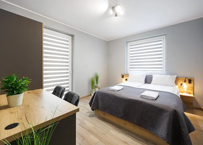 Guest house Zachodni Brzeg 3*